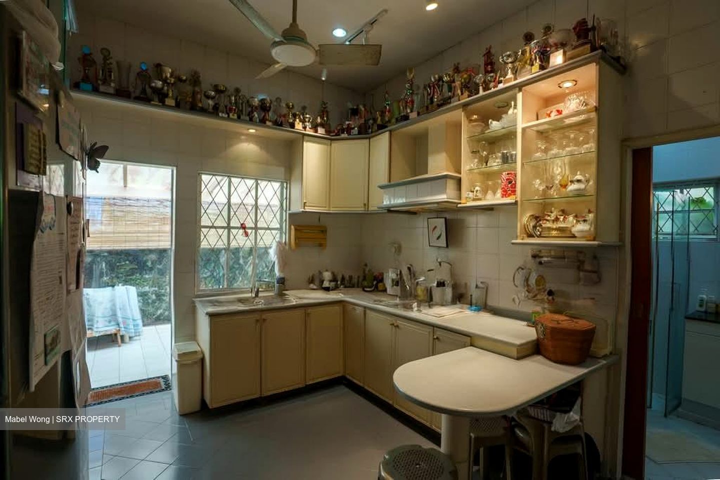 Adelphi Park Estate (D20), Detached #589476121